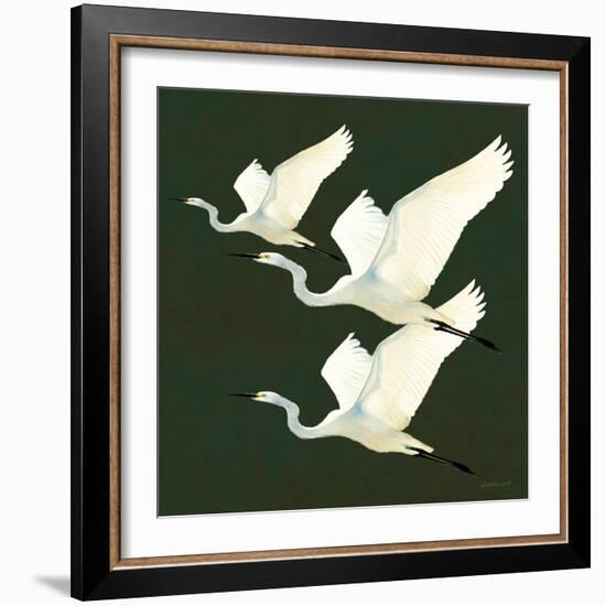 Egrets Alighting II on Green-Kathrine Lovell-Framed Art Print