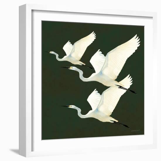 Egrets Alighting II on Green-Kathrine Lovell-Framed Art Print