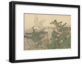 Egrets and Lotus-Imao Keinen-Framed Giclee Print