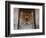 Egypt, Abu Simbel, Statues and Temple of Ramses Ii, Main Chamber-Michele Falzone-Framed Photographic Print