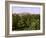 Egypt - Assuan-English Photographer-Framed Giclee Print