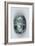 Egypt, Bahariya Oasis, Sheik Souby, Governor's Tomb, Tomb of Nassa, Scarab-null-Framed Giclee Print