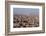 Egypt, Cairo, Citadel, View at the Islamic Old Town-Catharina Lux-Framed Photographic Print