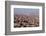 Egypt, Cairo, Citadel, View at the Islamic Old Town-Catharina Lux-Framed Photographic Print