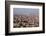 Egypt, Cairo, Citadel, View at the Islamic Old Town-Catharina Lux-Framed Photographic Print