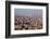 Egypt, Cairo, Citadel, View at the Islamic Old Town-Catharina Lux-Framed Photographic Print