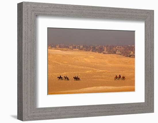 Egypt, Cairo, Giza, Evening Light, Camels and Horses-Catharina Lux-Framed Photographic Print