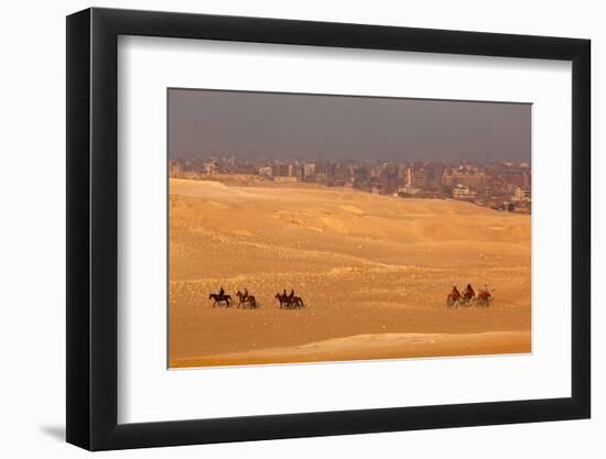 Egypt, Cairo, Giza, Evening Light, Camels and Horses-Catharina Lux-Framed Photographic Print