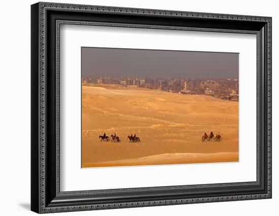 Egypt, Cairo, Giza, Evening Light, Camels and Horses-Catharina Lux-Framed Photographic Print