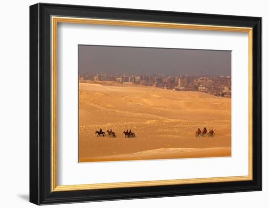 Egypt, Cairo, Giza, Evening Light, Camels and Horses-Catharina Lux-Framed Photographic Print