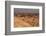 Egypt, Cairo, Giza, Evening Light-Catharina Lux-Framed Photographic Print