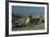 Egypt, Cairo, Giza, Great Sphinx-null-Framed Giclee Print