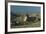 Egypt, Cairo, Giza, Great Sphinx-null-Framed Giclee Print