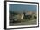 Egypt, Cairo, Giza, Great Sphinx-null-Framed Giclee Print