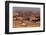 Egypt, Cairo, Giza, Sphinx from the Back, Evening Light-Catharina Lux-Framed Photographic Print