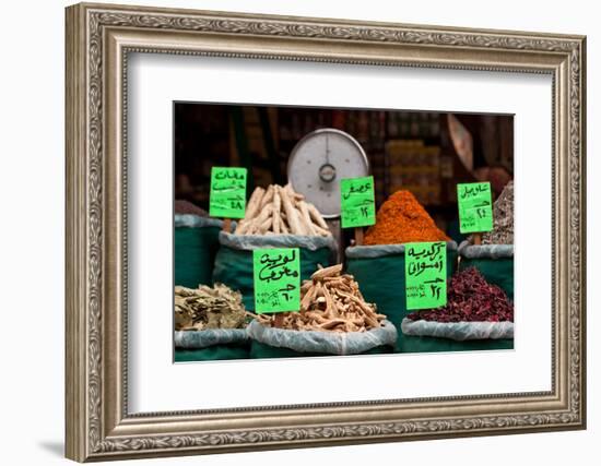 Egypt, Cairo, Islamic Old Town, Shop, Spices-Catharina Lux-Framed Photographic Print