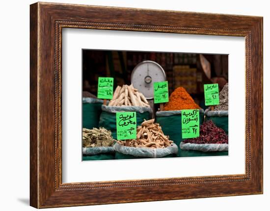 Egypt, Cairo, Islamic Old Town, Shop, Spices-Catharina Lux-Framed Photographic Print