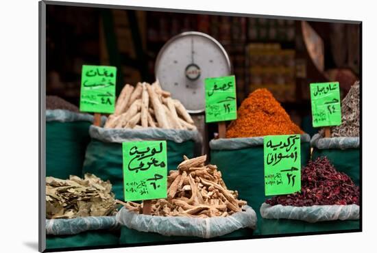 Egypt, Cairo, Islamic Old Town, Shop, Spices-Catharina Lux-Mounted Photographic Print