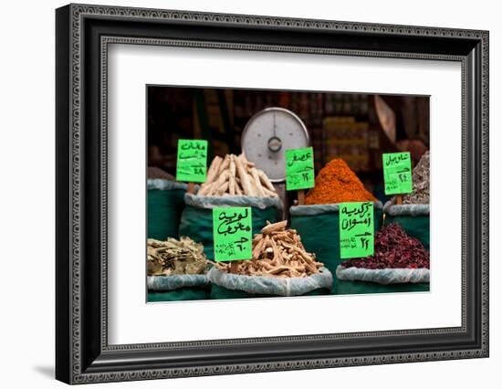 Egypt, Cairo, Islamic Old Town, Shop, Spices-Catharina Lux-Framed Photographic Print