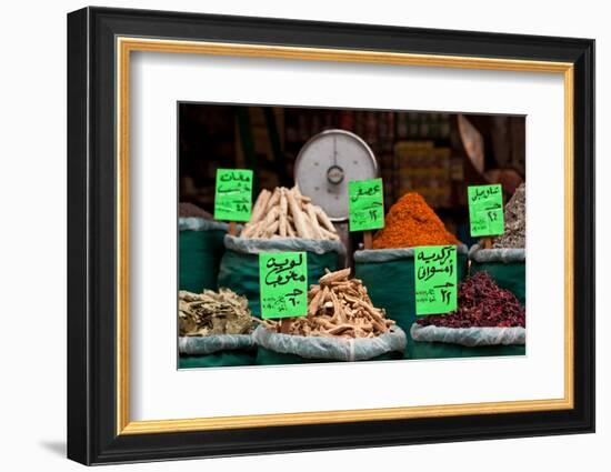 Egypt, Cairo, Islamic Old Town, Shop, Spices-Catharina Lux-Framed Photographic Print