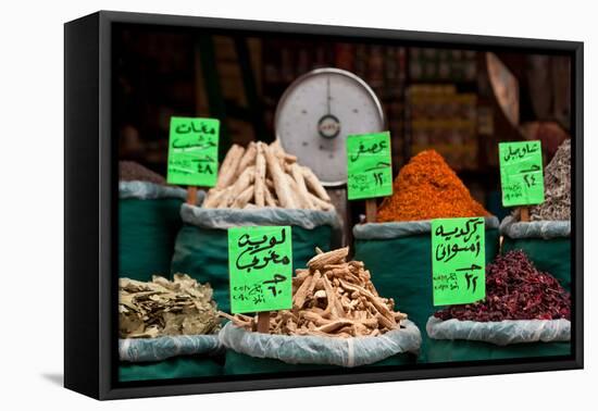 Egypt, Cairo, Islamic Old Town, Shop, Spices-Catharina Lux-Framed Premier Image Canvas