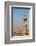 Egypt, Cairo, Minaret-Catharina Lux-Framed Photographic Print