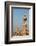 Egypt, Cairo, Minaret-Catharina Lux-Framed Photographic Print