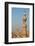 Egypt, Cairo, Minaret-Catharina Lux-Framed Photographic Print