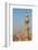 Egypt, Cairo, Minaret-Catharina Lux-Framed Photographic Print