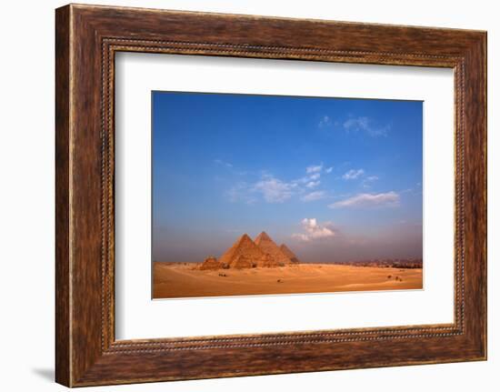 Egypt, Cairo, Pyramids of Giza, Evening Light-Catharina Lux-Framed Photographic Print