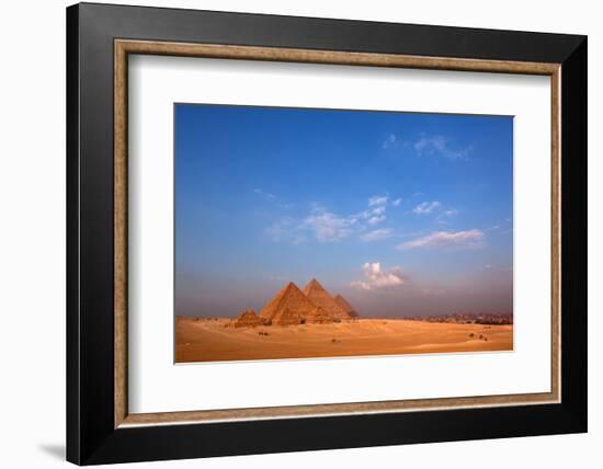 Egypt, Cairo, Pyramids of Giza, Evening Light-Catharina Lux-Framed Photographic Print