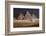 Egypt, Cairo, Pyramids of Gizeh by Night-Catharina Lux-Framed Photographic Print