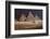 Egypt, Cairo, Pyramids of Gizeh by Night-Catharina Lux-Framed Photographic Print