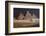 Egypt, Cairo, Pyramids of Gizeh by Night-Catharina Lux-Framed Photographic Print