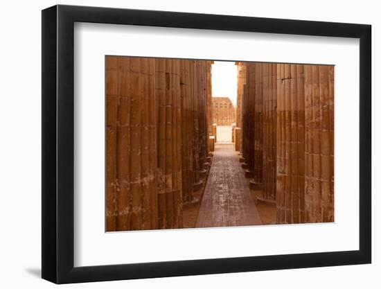 Egypt, Cairo, Saqqara, Colonnade of the Djoser-Catharina Lux-Framed Photographic Print