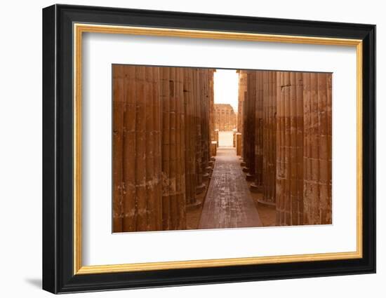 Egypt, Cairo, Saqqara, Colonnade of the Djoser-Catharina Lux-Framed Photographic Print