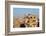 Egypt, Cairo, View from Mosque of Ibn Tulun on Old Town Facades-Catharina Lux-Framed Photographic Print