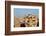 Egypt, Cairo, View from Mosque of Ibn Tulun on Old Town Facades-Catharina Lux-Framed Photographic Print