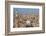 Egypt, Cairo, View from Mosque of Ibn Tulun on the Old Town-Catharina Lux-Framed Photographic Print