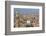 Egypt, Cairo, View from Mosque of Ibn Tulun on the Old Town-Catharina Lux-Framed Photographic Print