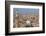 Egypt, Cairo, View from Mosque of Ibn Tulun on the Old Town-Catharina Lux-Framed Photographic Print