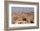 Egypt, Cairo, View from Mosque of Ibn Tulun to the Mosque-Madrassa of Sultan Hassan-Catharina Lux-Framed Photographic Print