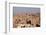 Egypt, Cairo, View from Mosque of Ibn Tulun to the Mosque-Madrassa of Sultan Hassan-Catharina Lux-Framed Photographic Print