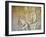 Egypt, Luxor, Valley of the Kings, Tomb of Seti II, Entrance Relief of Ra from Nineteenth Dynasty-null-Framed Giclee Print