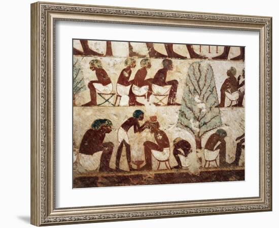 Egypt, Luxor, West Thebes, Sheik El Gurnak. Tomb of Usirhat, Barber, Details from Fresco-null-Framed Giclee Print