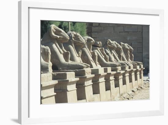 Egypt, Old Thebes, Luxor, Karnak Temple Complex, Precinct of Amun-Re, Avenue of Ram-Headed Sphinxes-null-Framed Giclee Print