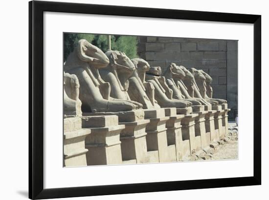 Egypt, Old Thebes, Luxor, Karnak Temple Complex, Precinct of Amun-Re, Avenue of Ram-Headed Sphinxes-null-Framed Giclee Print