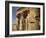 Egypt- temple of Kom Ombo-English Photographer-Framed Giclee Print