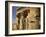 Egypt- temple of Kom Ombo-English Photographer-Framed Giclee Print