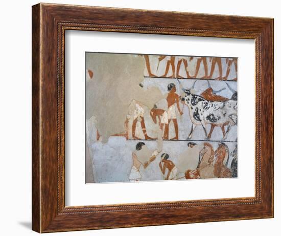 Egypt, Thebes, Luxor, Tomb of Army General Tjenuny, Mural Paintings Showing Cows and Horses-null-Framed Giclee Print